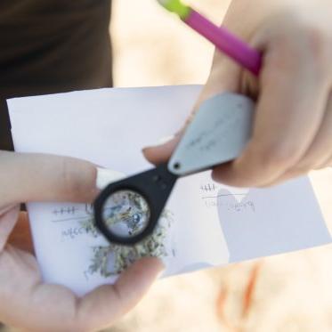 一个学生的手拿着纸和显微镜观察树枝的小样本的特写